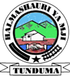 TUNDUMA TOWN COUNCIL